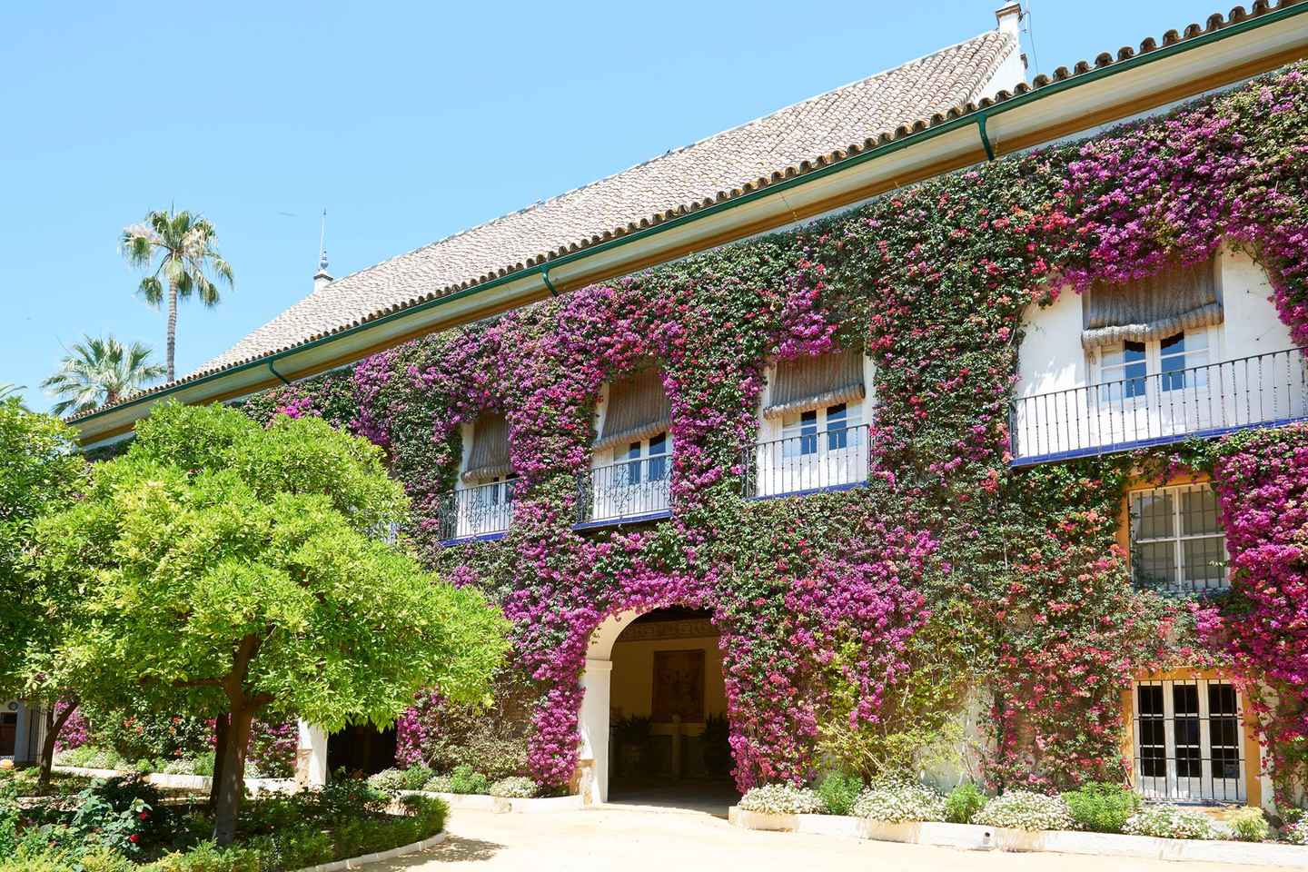 Seville: Palacio de Las Dueñas Entry Ticket and Guided Tour