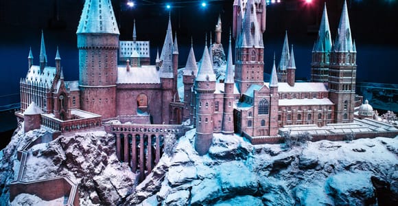 Enter a magical world at this Harry Potter-themed Florida rental - Lonely  Planet