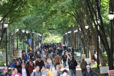 UPenn Campus Walking Tour & Museum Ticket