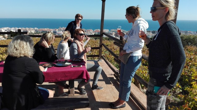 Visit Manilva Nilva wine experience - Wine & tapas in Marbella, Spain