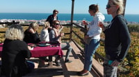 Manilva, Nilva wine experience - Wine & tapas - Housity