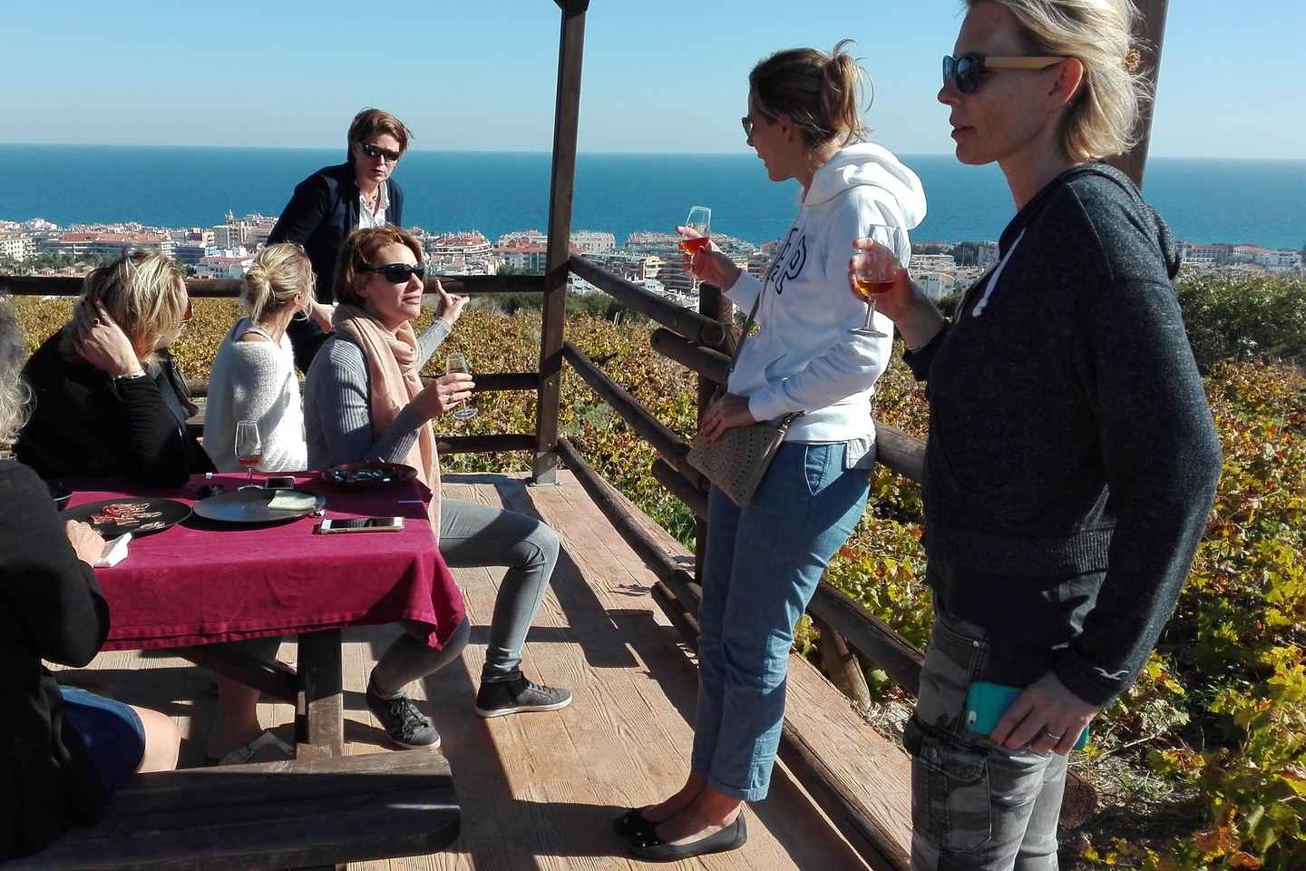 Manilva: Nilva Vineyard, Wine Tasting & Tapas Guided Tour