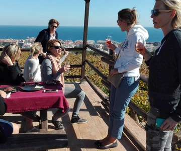 Nilva Vineyard, Wine Tasting & Tapas Guided Tour