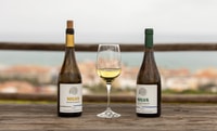 Manilva, Nilva wine experience - Wine & tapas - Housity