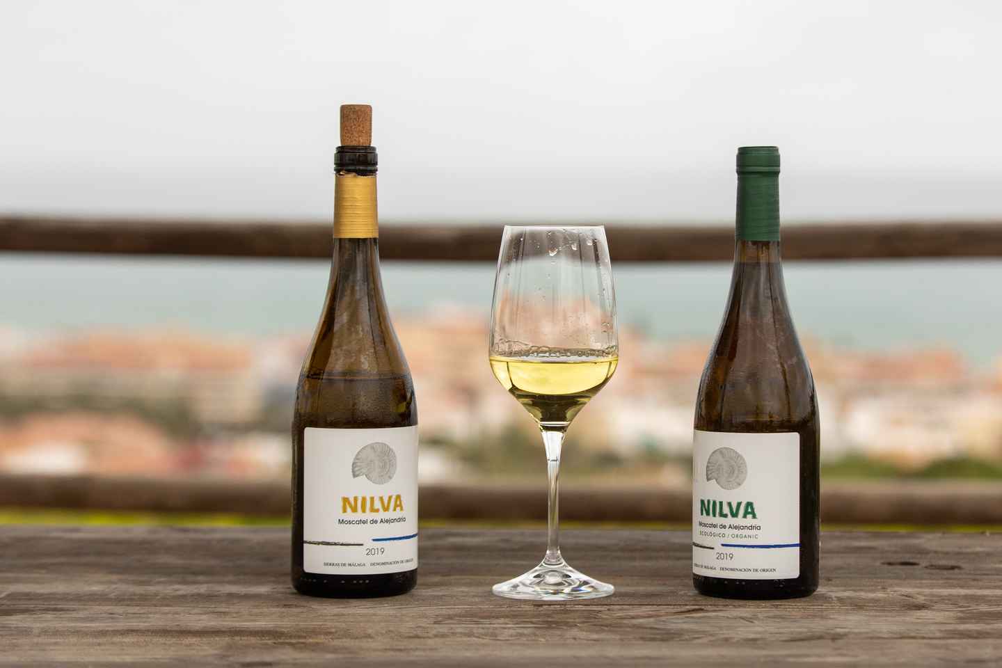 Manilva: Nilva Vineyard, Wine Tasting & Tapas Guided Tour