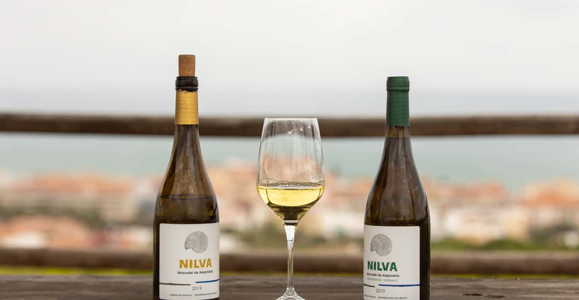 Afbeelding 1 van Manilva: Wijngaard Nilva, Wijnproeverij & Rondleiding Tapas