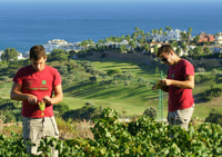 Manilva, Nilva wine experience - Wine & tapas - Housity