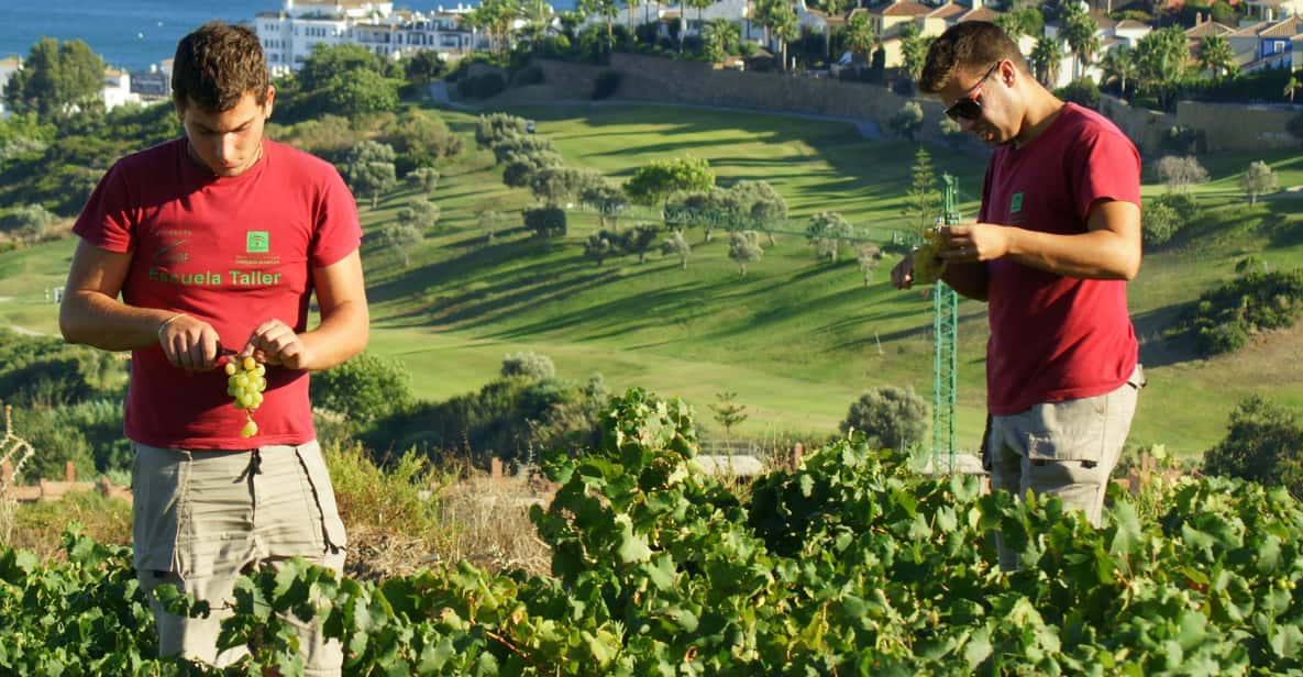 Afbeelding 2 van Manilva: Wijngaard Nilva, Wijnproeverij & Rondleiding Tapas