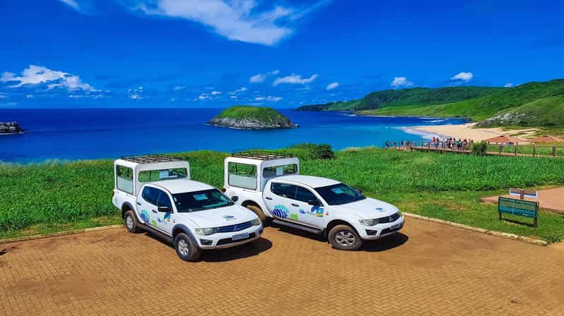 Fernando de Noronha Insel Tour GetYourGuide