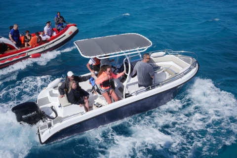 Hurghada 2 in 1 Speedboat trip Dolphin & Paradise islands