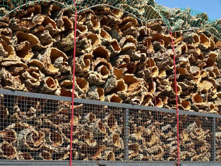 ÉvoraWorld Heritage, Cork Factory & Estremoz Full Day Tour GetYourGuide