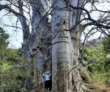 Praia: Escursione naturalistica guidata alla Cidade Velha