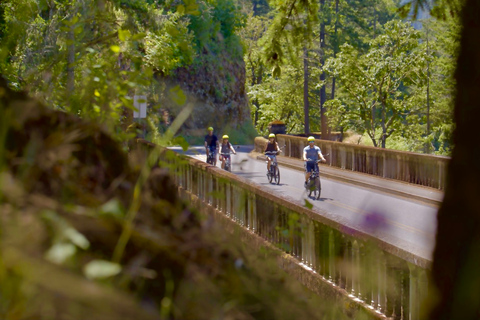 Portland: Excursión panorámica autoguiada en bicicleta eléctrica por las cataratas MultnomahPortland: Excursión autoguiada en bicicleta eléctrica por las cataratas Multnomah