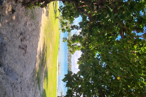 Mauricio: Cascada de Ile Aux Cerfs, almuerzo y excursión de snorkel