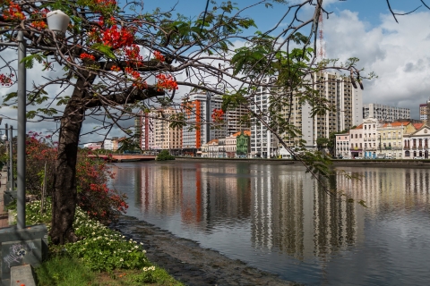 Tour de ville de Recife et Olinda