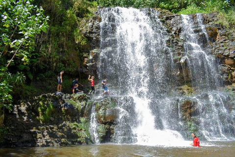 Kauai: Guided Hike and Waterfall Swim Kauai: Waterfall Swim and Hike