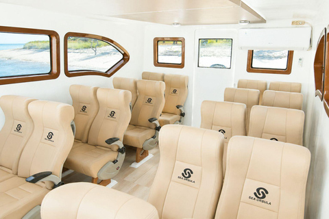 Komodo Day Trip 6 Spots | Premium Speedboat & Entrance Fees