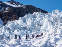 Franz Josef Glacier、ヘリコプター移動による2.5時間のハイキング - Housity
