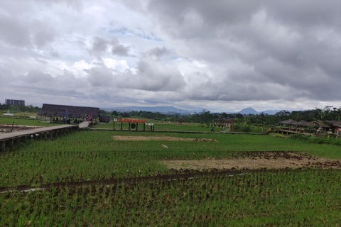 Van Jakarta: Bogor Botanische Tuin en Rijstvelden TourBogor Botanische Tuin en Rijstvelden Tour