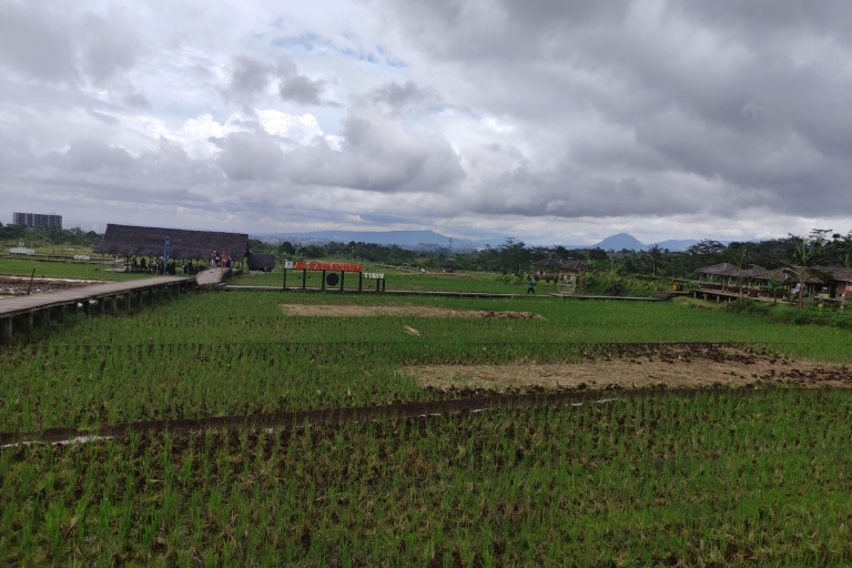 Au départ de Jakarta : Visite du jardin botanique de Bogor et des rizièresVisite du jardin botanique de Bogor et des rizières