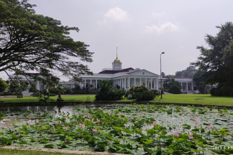 Van Jakarta: Bogor Botanische Tuin en Rijstvelden TourBogor Botanische Tuin en Rijstvelden Tour