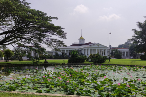 Van Jakarta: Bogor Botanische Tuin en Rijstvelden TourBogor Botanische Tuin en Rijstvelden Tour