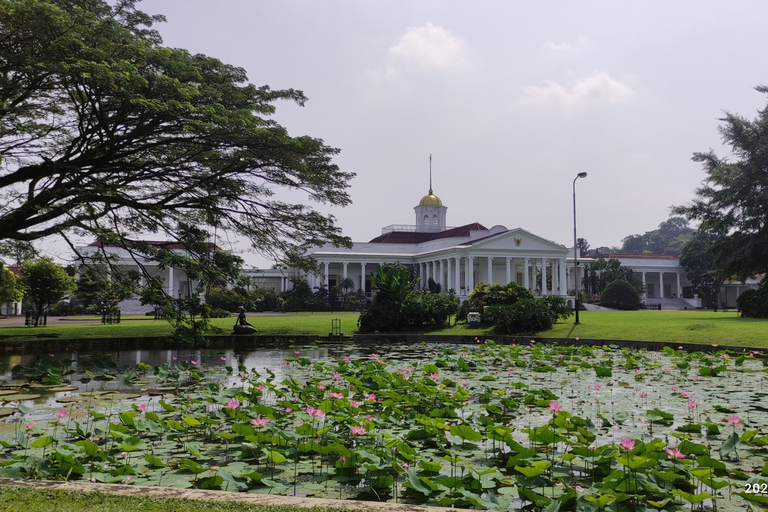 Au départ de Jakarta : Visite du jardin botanique de Bogor et des rizièresVisite du jardin botanique de Bogor et des rizières