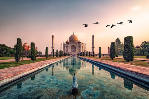 Von Delhi nach Agra: Privater Tagesausflug zum Taj Mahal und Agra Fort