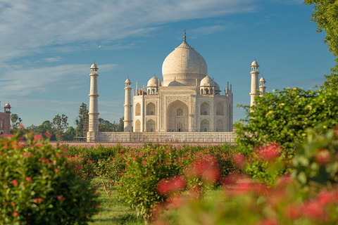 Da Nuova Delhi: gita giornaliera privata al Taj Mahal e al Forte di Agra