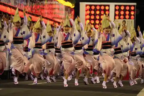 AwaDance Festival NarutoWhirlpool 1 Day Bus Tour