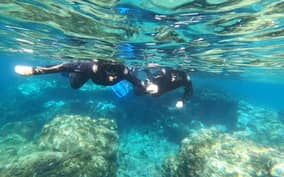 - Canarie.it
