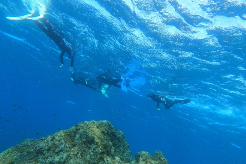 Abades: Snorkeling Tour w chronionym obszarze morskim