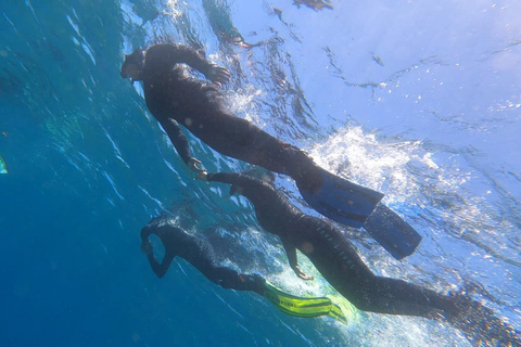 Abades: Excursión de snorkel en una zona marina protegida