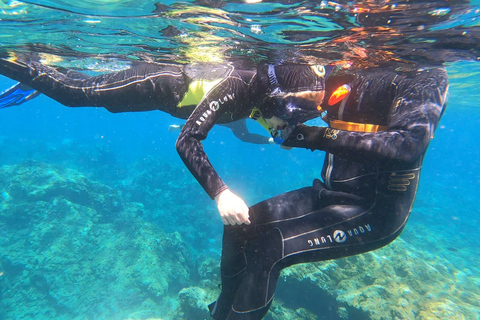 Abades : Excursion de snorkeling dans une zone marine protégée