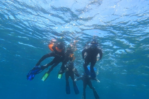 Abades: Private Snorkeling Tour in a Marine Protected Area