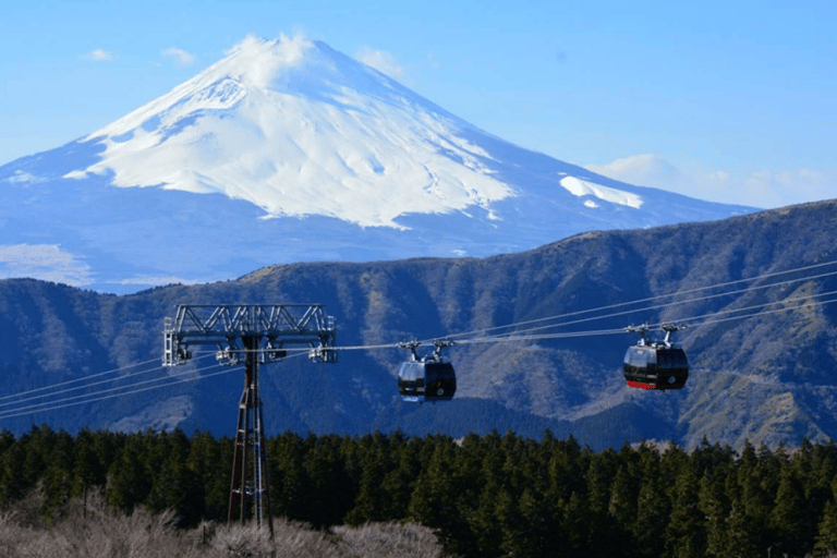 Au départ de Tokyo : 10 heures d'excursion privée à HakoneCircuit personnalisable de 10 heures avec chauffeur uniquement