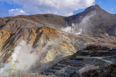 Vanuit Tokio: 10 uur durende Hakone Private Custom TourAanpasbare tour van 10 uur met chauffeur en gids