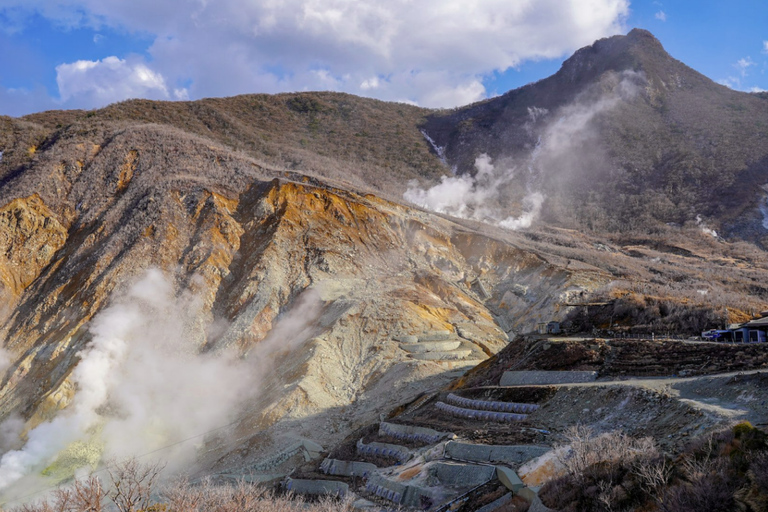 Vanuit Tokio: 10 uur durende Hakone Private Custom TourAanpasbare tour van 10 uur met chauffeur en gids