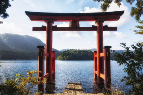 Vanuit Tokio: 10 uur durende Hakone Private Custom TourAanpasbare tour van 10 uur met chauffeur en gids