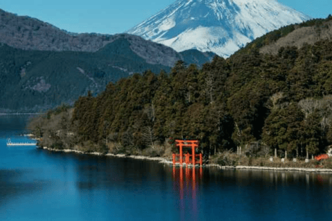 Vanuit Tokio: 10 uur durende Hakone Private Custom TourAanpasbare tour van 10 uur met chauffeur en gids