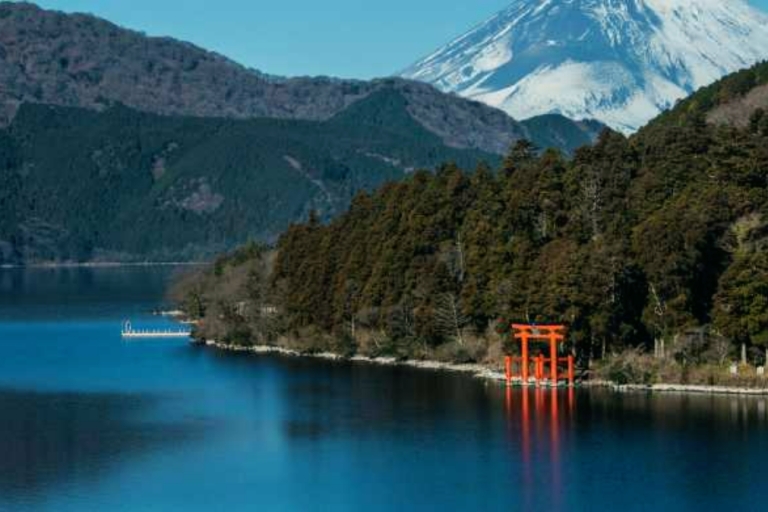 Vanuit Tokio: 10 uur durende Hakone Private Custom TourAanpasbare tour van 10 uur met chauffeur en gids