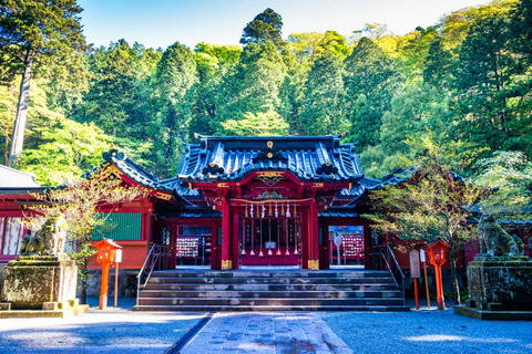 Vanuit Tokio: 10 uur durende Hakone Private Custom TourAanpasbare tour van 10 uur met chauffeur en gids