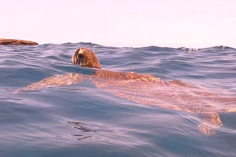 Abades: snorkeltocht in een beschermd zeegebied