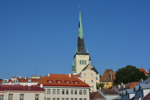 Tallinn : Visite privée personnalisée avec un guide localVisite à pied de 6 heures