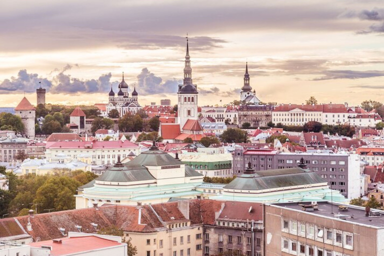 Tallinn : Visite privée personnalisée avec un guide localVisite à pied de 6 heures