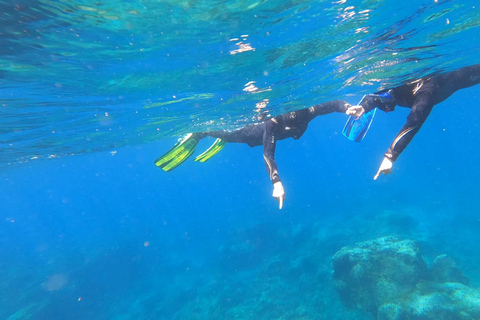 Abades: snorkeltocht in een beschermd zeegebied