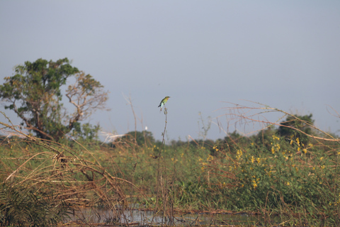 Siem Reap/Battambang Cruise Guided tour one way