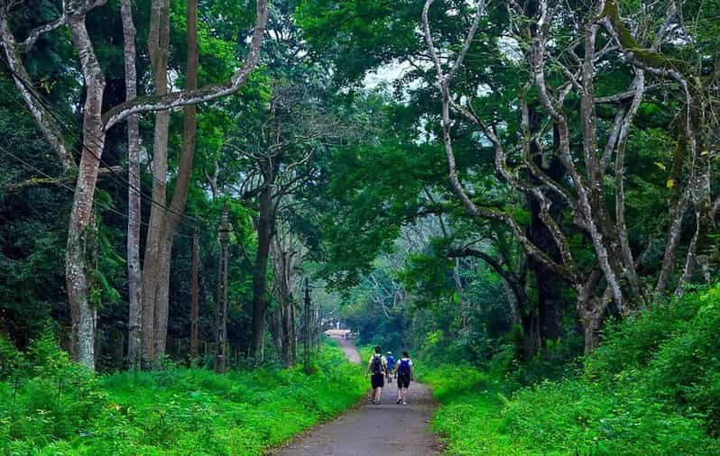 Cuc Phuong National Park 1 Day Trip | GetYourGuide