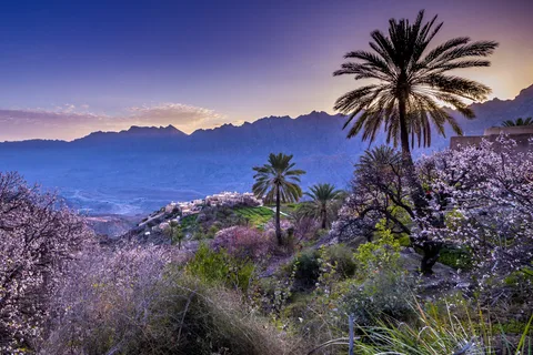Full Day Private Tour from Muscat to Nakhal and Wakan