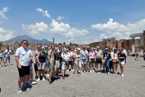 Au départ de Sorrento : Excursion en ligne rapide pour Pompéi et le Vésuve